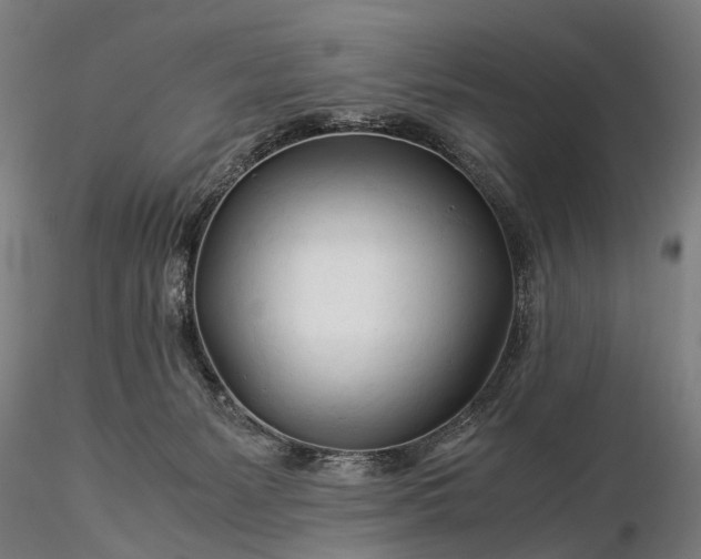 X0000116390127200912161533
