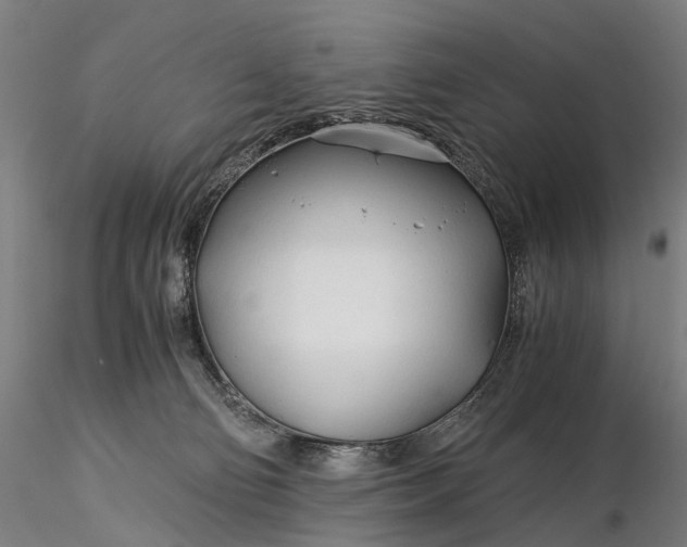 X0000116390130200912161533