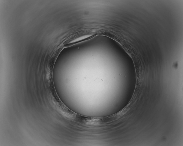 X0000116390132200912161533