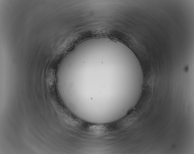X0000116390133200912161533