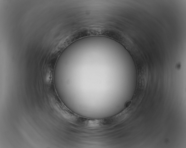 X0000116390134200912161533