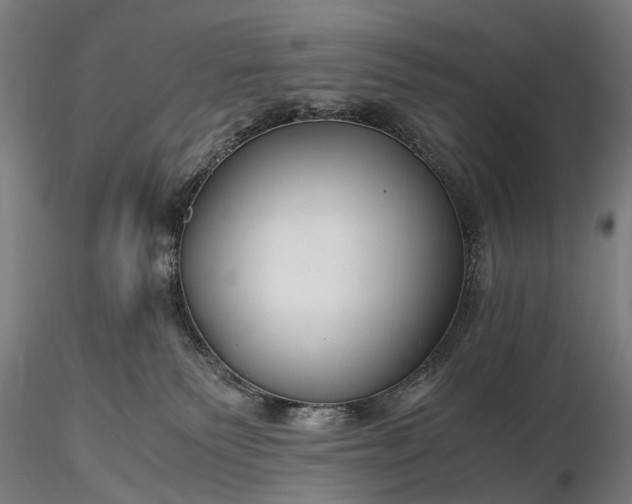 X0000116390135200912161533