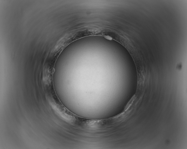 X0000116390136200912161533