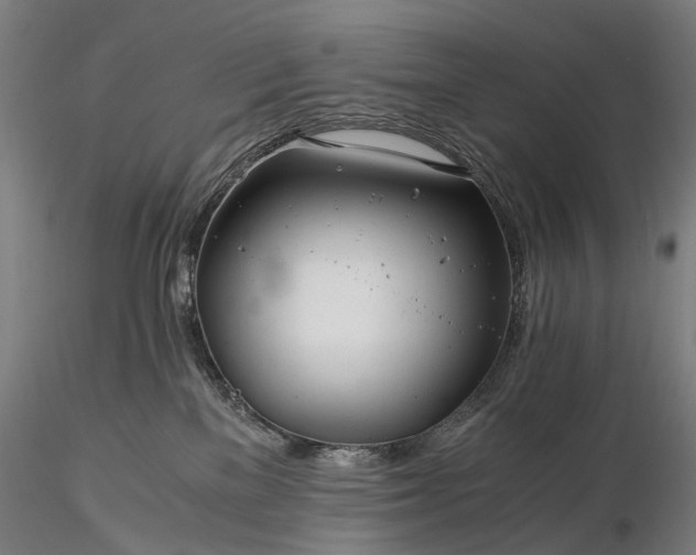 X0000116390137200912161533