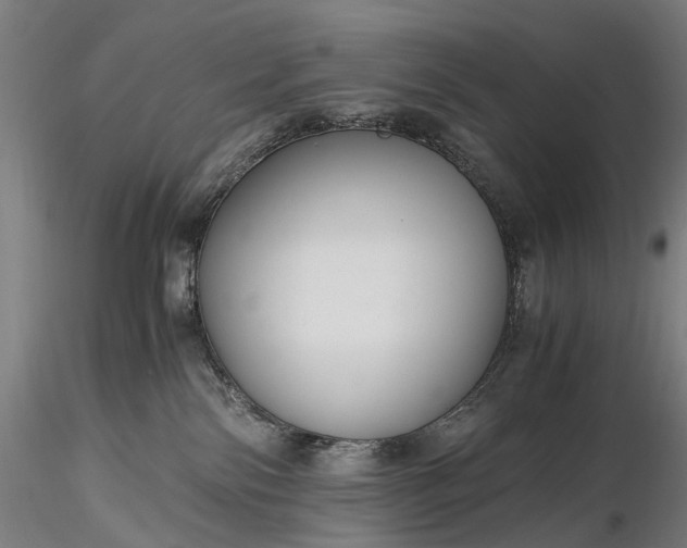 X0000116390138200912161533