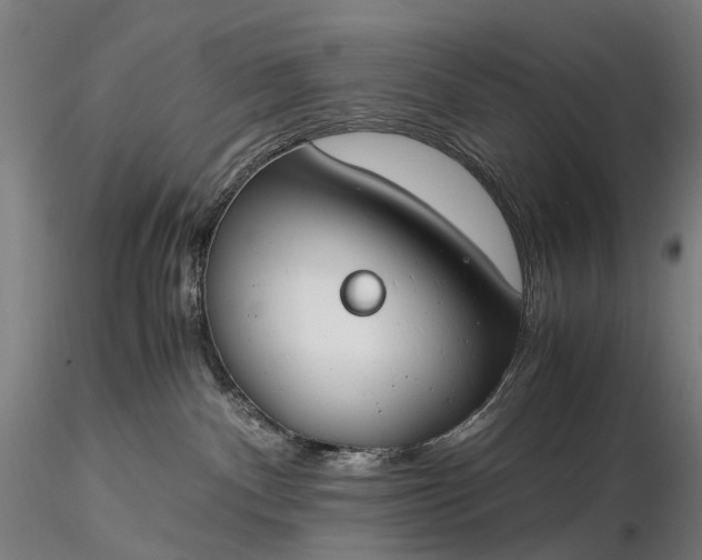 X0000116390140200912161533