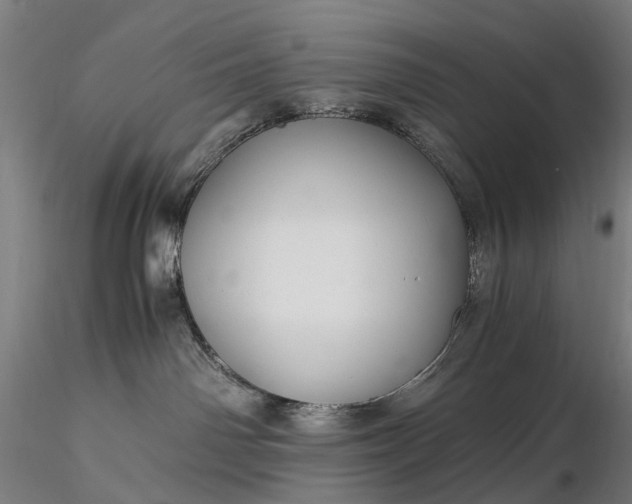 X0000116390142200912161533