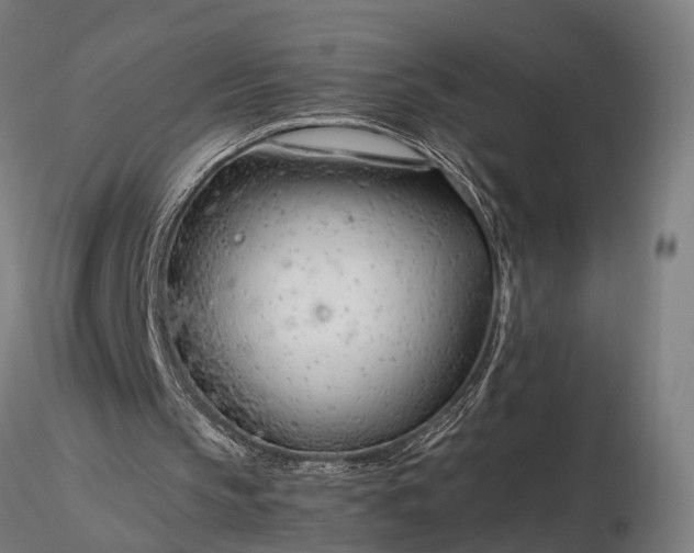 X0000116390145200912161532