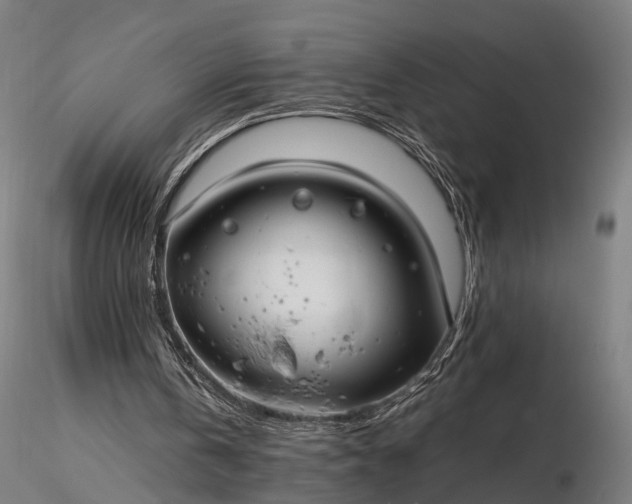 X0000116390146200912161532