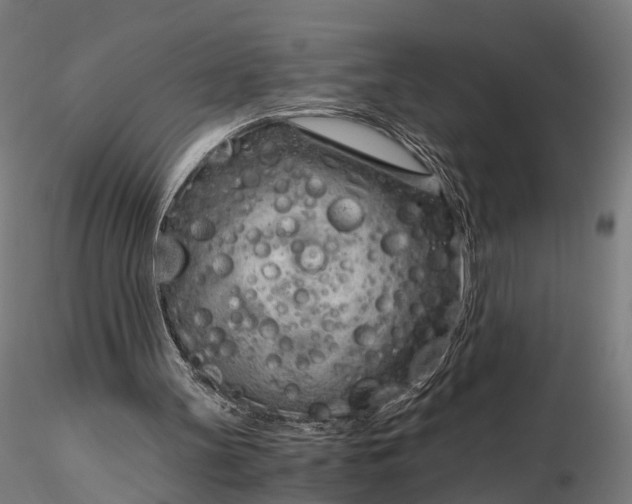X0000116390147200912161532