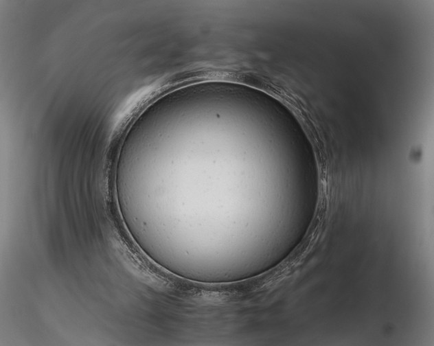 X0000116390149200912161532