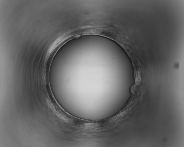 X0000116390150200912161532