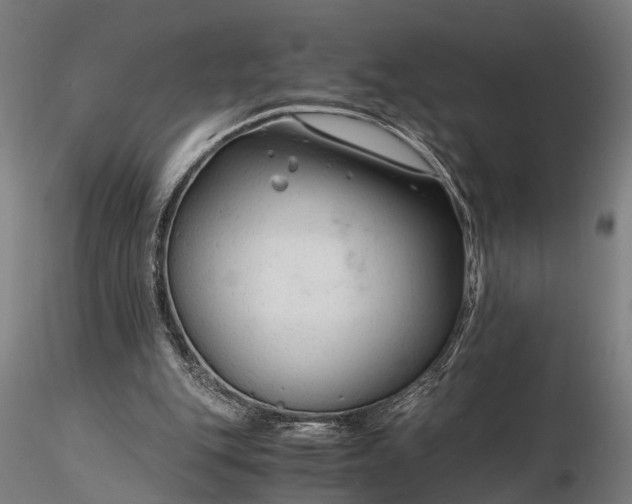 X0000116390151200912161532