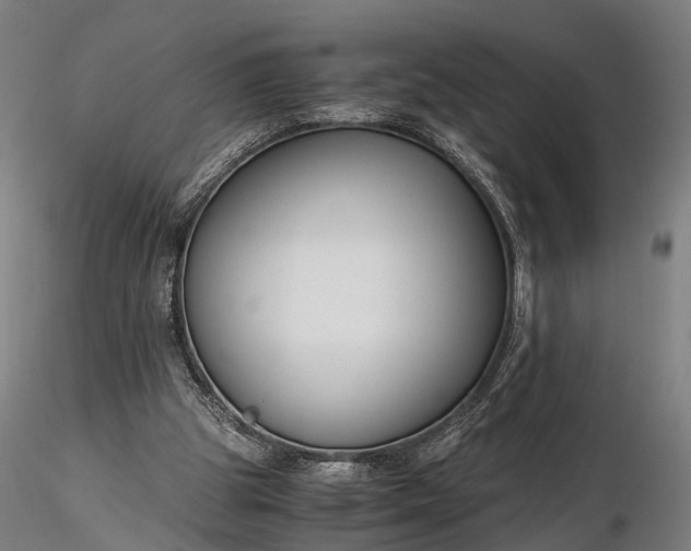 X0000116390153200912161532