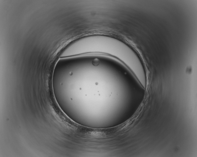 X0000116390154200912161532
