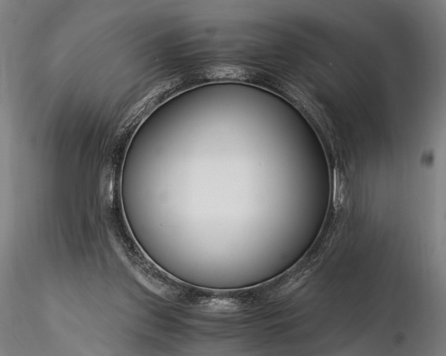 X0000116390157200912161532