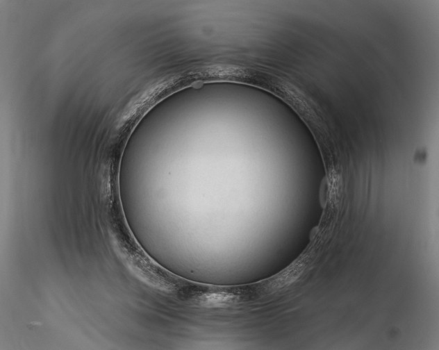X0000116390158200912161532