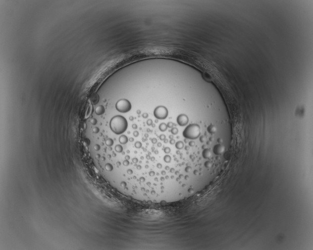 X0000116390159200912161532