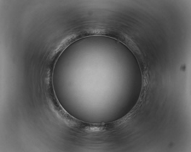 X0000116390163200912161532