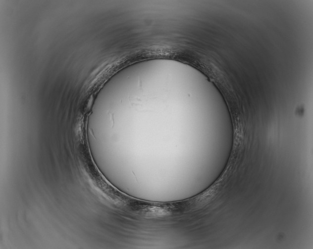 X0000116390166200912161532