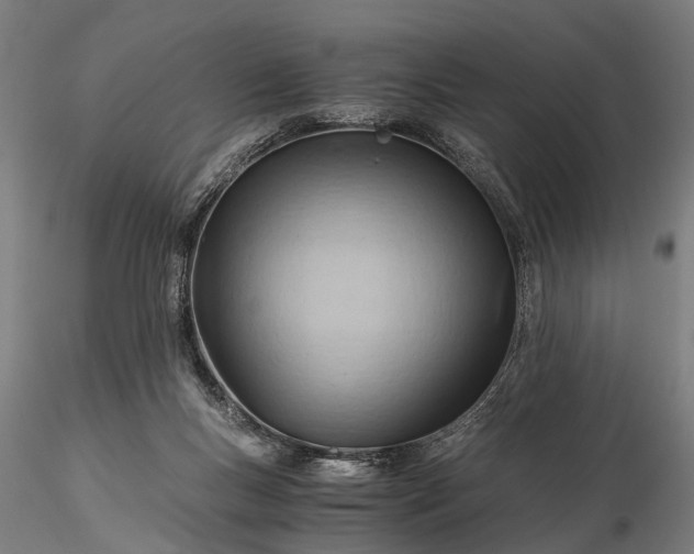 X0000116390167200912161532