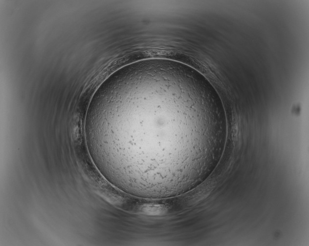 X0000116390169200912161532
