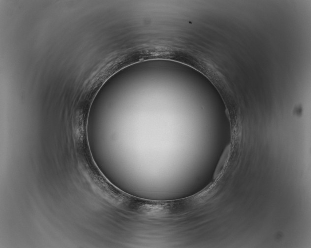 X0000116390170200912161532