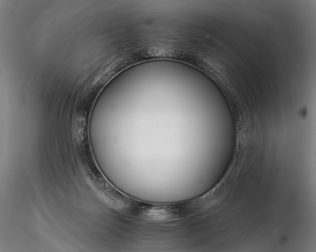 X0000116390171200912161532