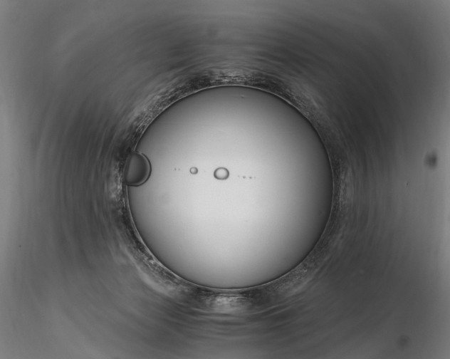 X0000116390173200912161532