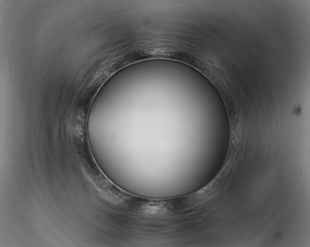 X0000116390175200912161532