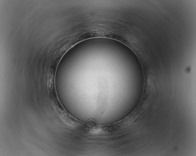 X0000116390177200912161533