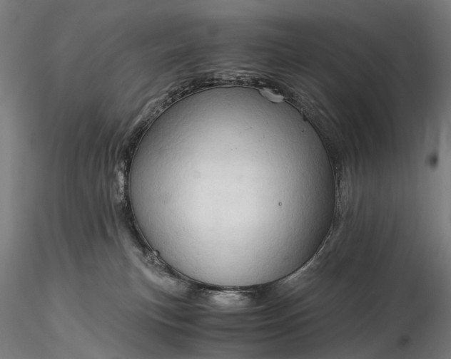 X0000116390183200912161533