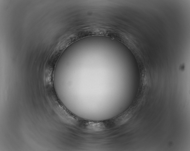 X0000116390185200912161533