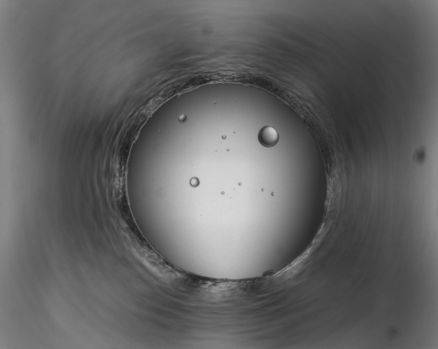 X0000116390186200912161533
