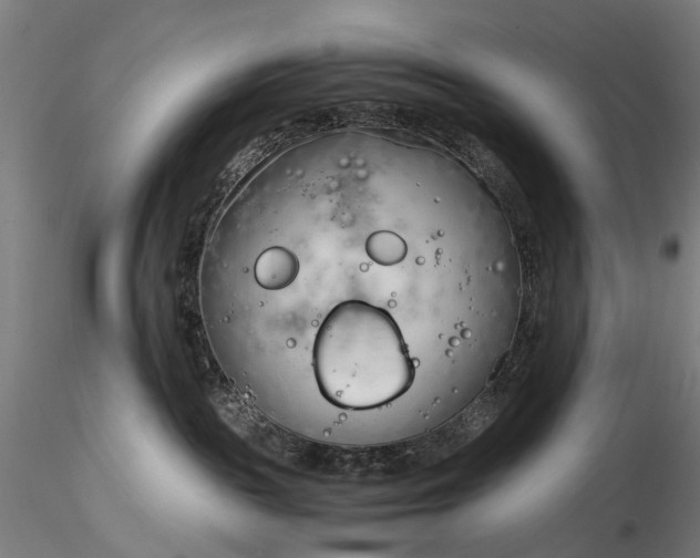 X0000116390189200912161533