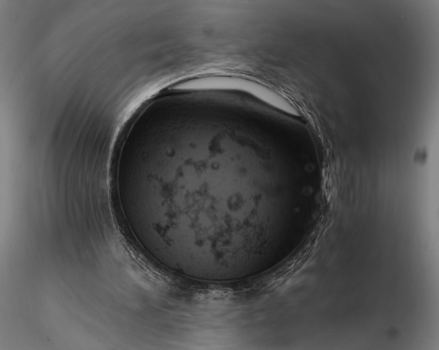 X0000116390196200912161532