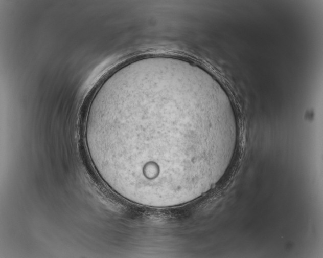 X0000116390199200912161532