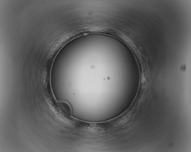 X0000116390201200912161532
