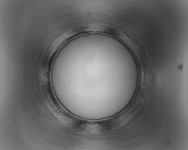 X0000116390203200912161532