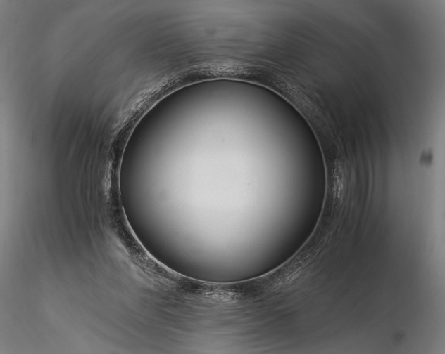 X0000116390206200912161532