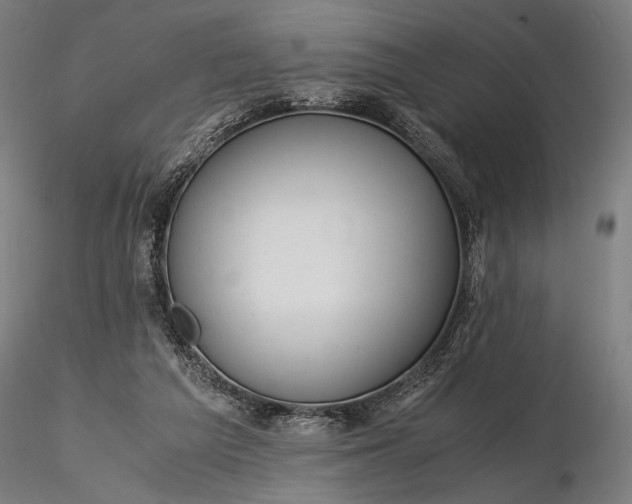X0000116390209200912161532