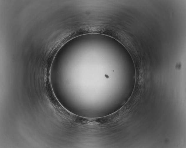 X0000116390210200912161532