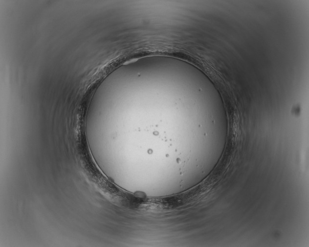X0000116390211200912161532