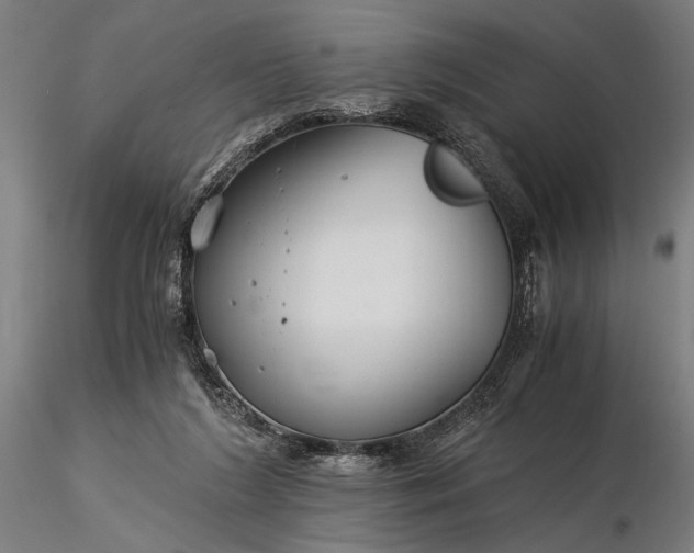 X0000116390212200912161532