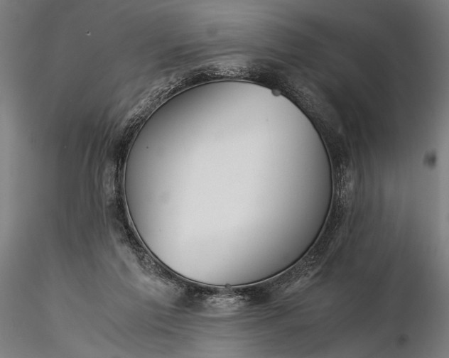 X0000116390213200912161532
