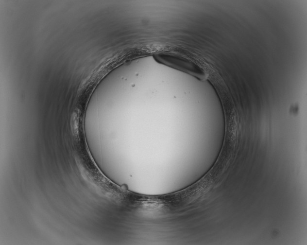 X0000116390214200912161532