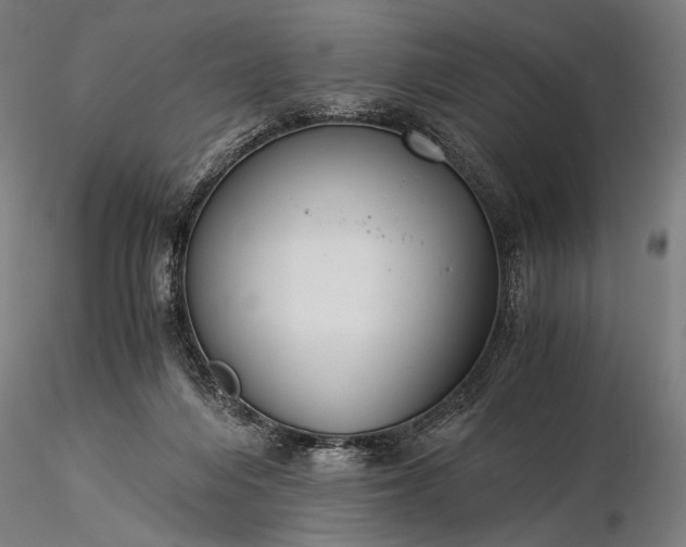 X0000116390216200912161532