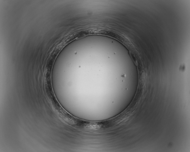 X0000116390217200912161532