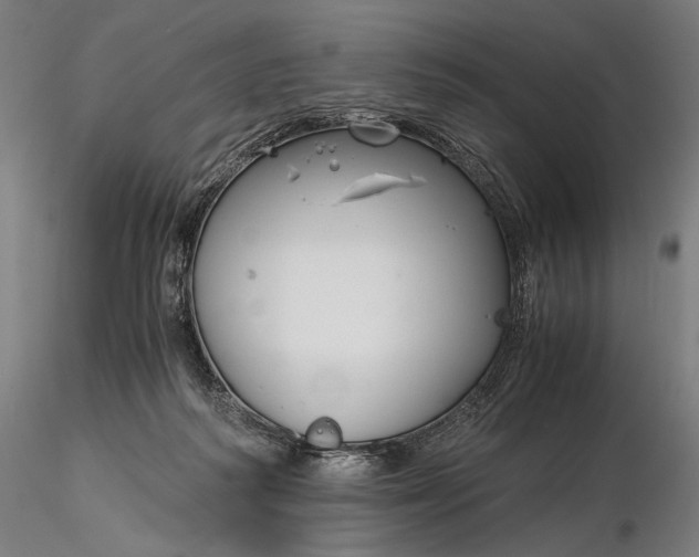 X0000116390218200912161532