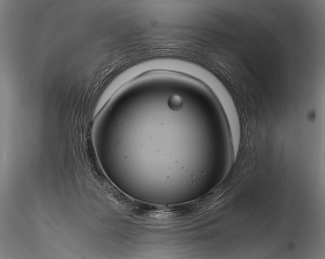 X0000116390219200912161532